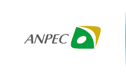 Anpec Electronics是怎样的一家公司?
