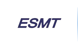 ESMT是怎样的一家公司?